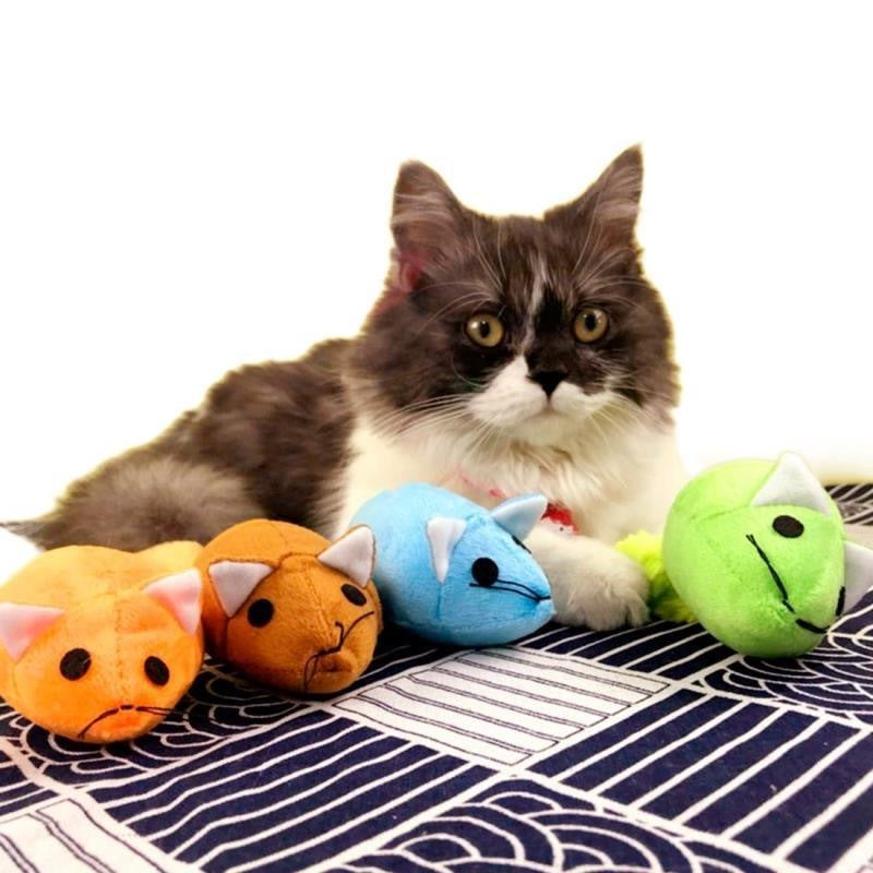 “Why Long Tail Mouse Teaser Toys Are Every Cat's Favorite New Obsession (And Yours Too!)”